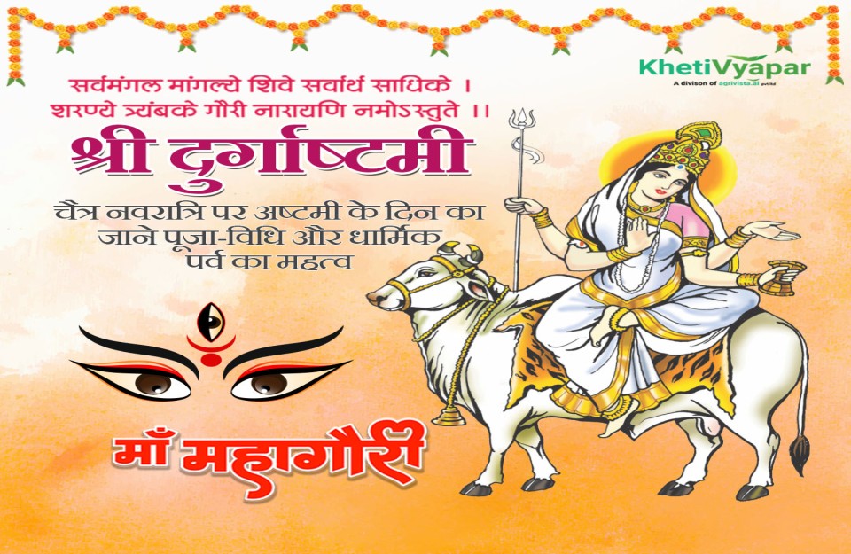 Navratri Ashtami 2024 in Hindi: चैत्र नवरात्रि पर अष्टमी के दिन का जाने पूजा-विधि और धार्मिक पर्व का महत्व, आइए Khetivyapar पर जानें